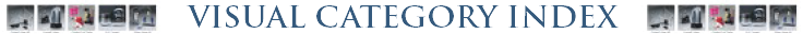 Visual Category
